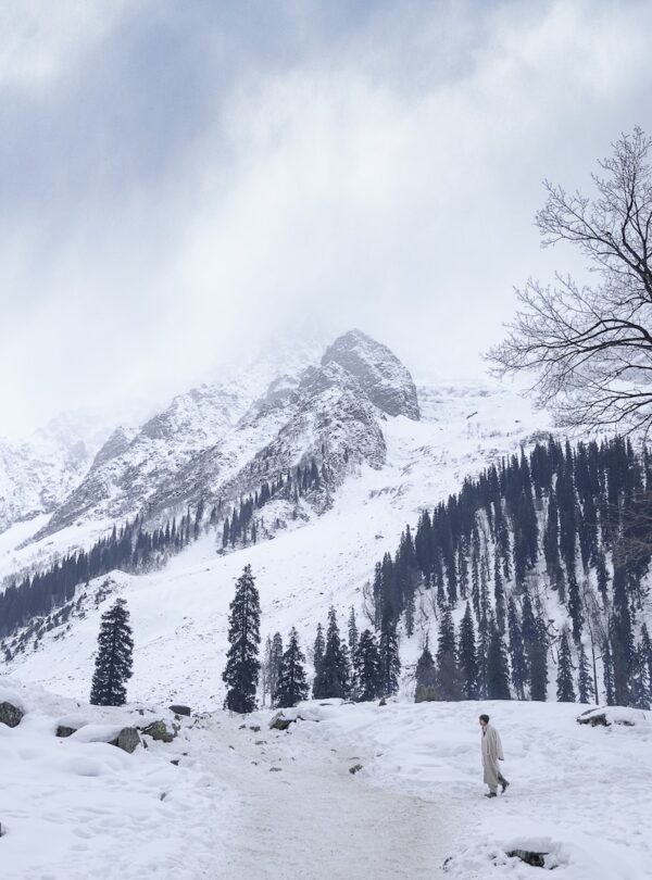 Sonamarg Destination