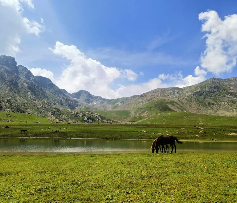 Kashmir Tour Package 7 Nights 8 Day