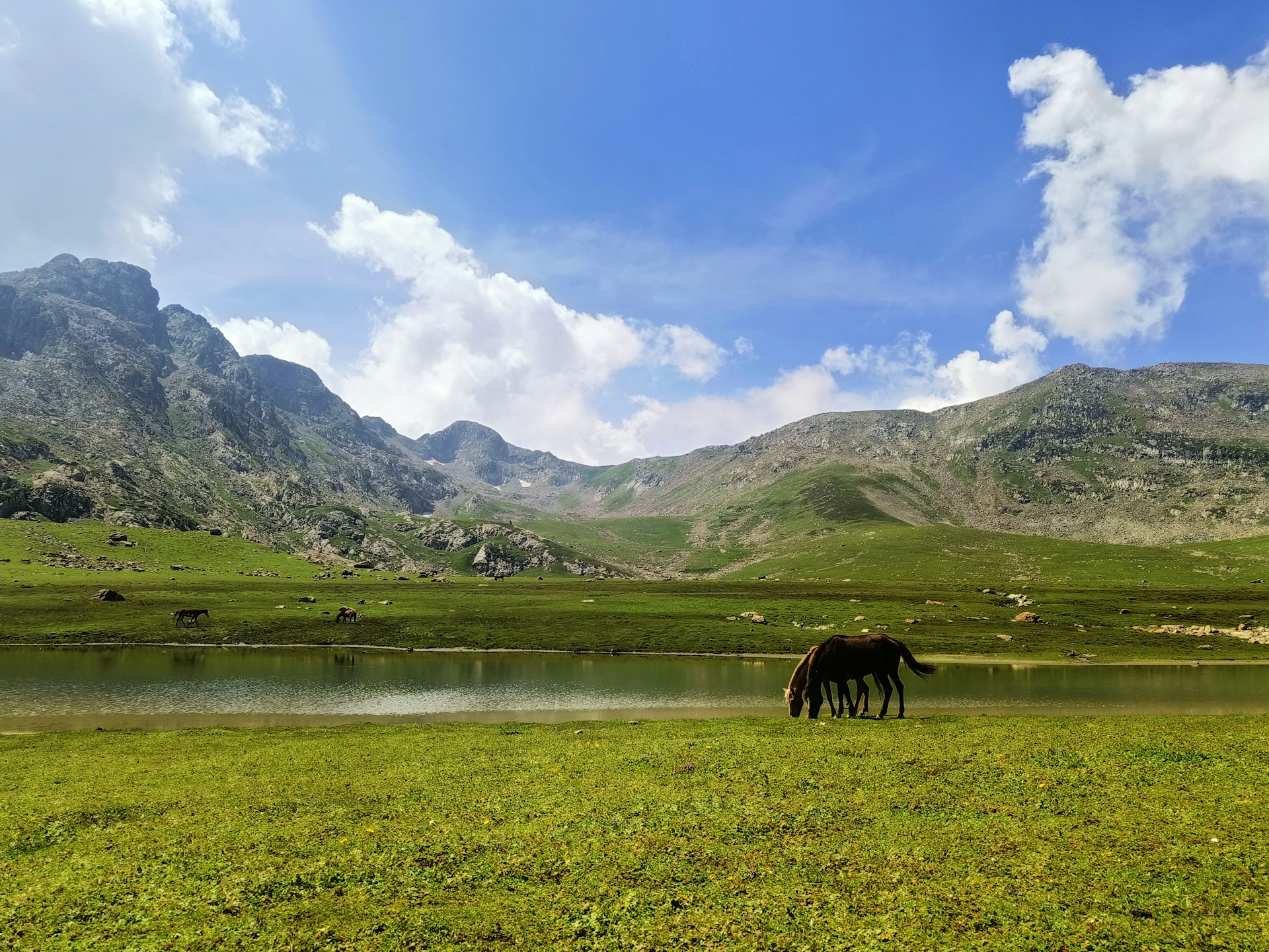 Kashmir Tour Package 7 Nights 8 Day