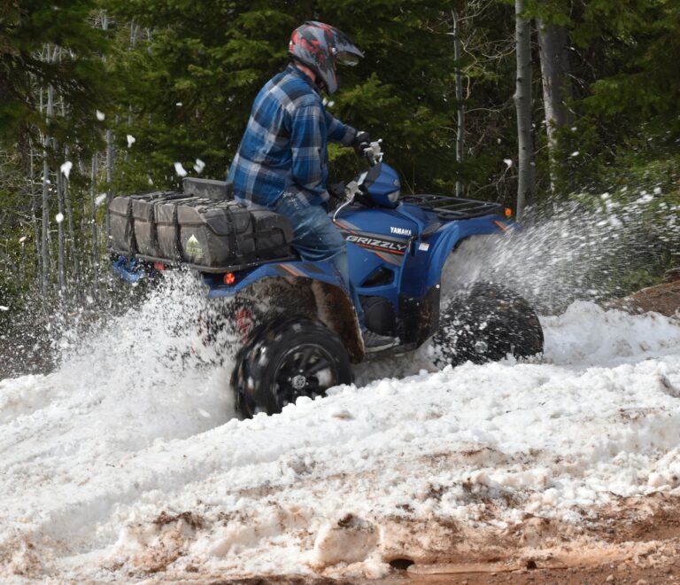 One-Day Activity Package